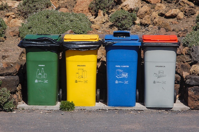 Organizing Your Recycling With Bins - What You Need to Know